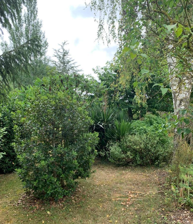 Maison D'Hotes La Chabanaise - Marais Poitevin Cramchaban Εξωτερικό φωτογραφία